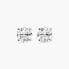 Exceptional Value Earrings