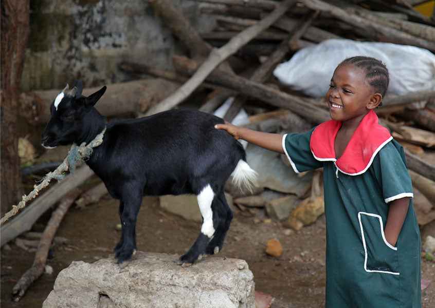 A smiling child pets a small black goat at The Greener Diamond partnership ELWOU ORPHANAGE in LIBERIA